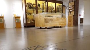 El Museo Ameghino se prepara para recibir visitantes con protocolo Covid-19