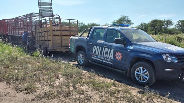 Ganado que iba rumbo a Santiago del Estero recuperado por&nbsp; la guardia rural Los Pumas