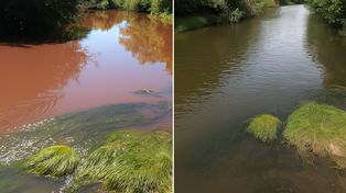 Las lluvias intensas generan pulsos tóxicos en afluentes del río Paraná