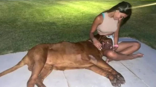 Antonela Rocuzzo llenó de corazones una historia en Instagram gracias a Hulk