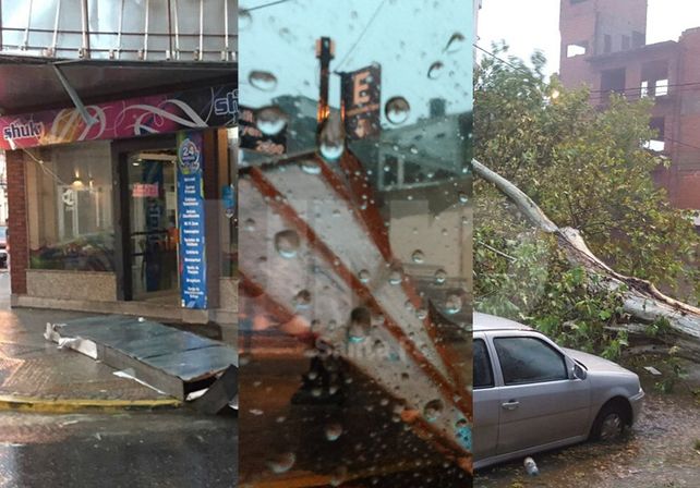 Árboles caídos, carteles tumbados y cables cortados por el fuerte temporal