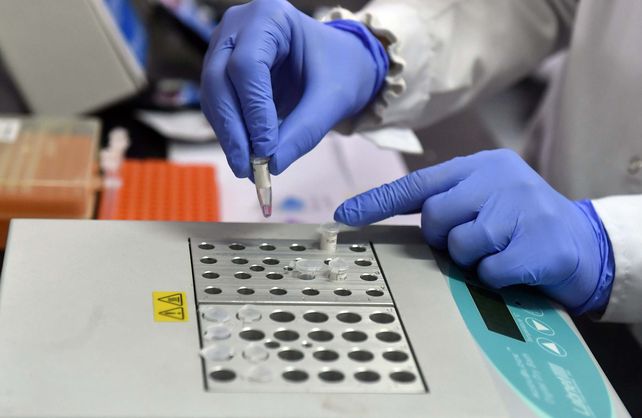Brasil anunció un acuerdo con Oxford para comprar y producir la vacuna contra el coronavirus