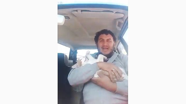 Conmovedor relato de un joven cuyo gato murió en la castración en Zoonosis de Paraná