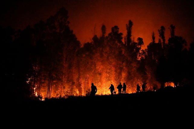 Brigadistas enfrentan las llamas cerca de la localida de Santa Ana.