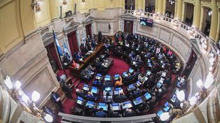 El escándalo con la criptomoneda $Libra fue detonante de controversia en la Cámara alta nacional.