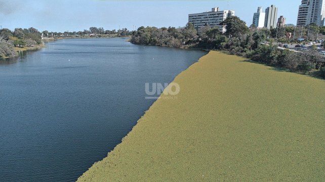 Lago del Parque del Sur: ya sacaron 30 camionadas de vegetación, encontraron heladeras y hasta una cocina
