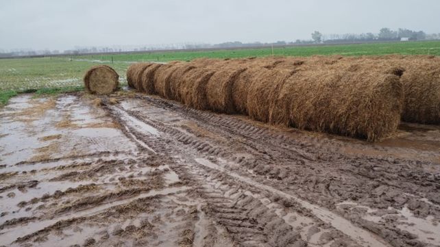 La lluvia en la provincia de Santa Fe