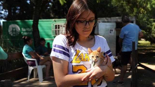 Castraciones masivas en barrio Chalet