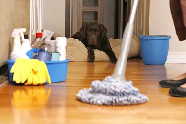 Útiles trucos de limpieza para el hogar