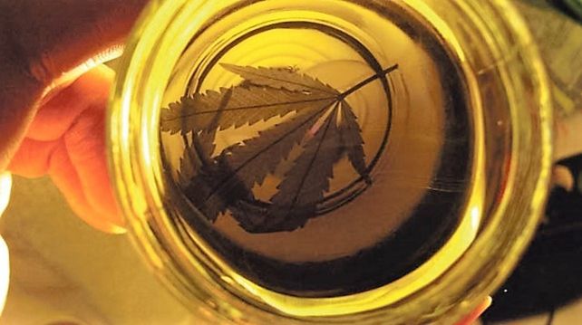 Exigen que se destrabe la importación de cannabis para Santa Fe