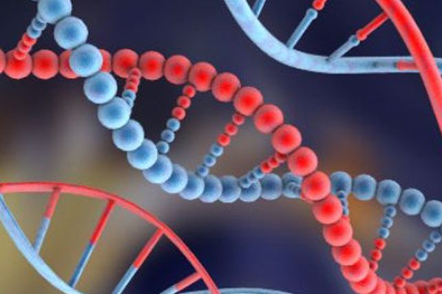 El ADN y la ciencia en la resolución de un crimen