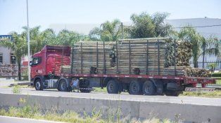 Transporte de carga: exigen medidas para enfrentar la crisis. La situación ha superado la capacidad de absorber costos dentro de la estructura de gastos del servicio de transporte de cargas, indica Cetacc de Concordia&nbsp;