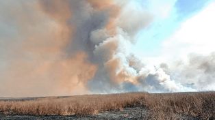 La problemática de los incendios no da tregua: la situación se agravó por acción del viento.