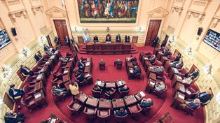 Los convencionales constituyentes dicutirán una reforma constitucional histórica donde las organizaciones sociales y ambientales esperan que el cuidado de la salud y la naturaleza tengan un lugar preponderante.