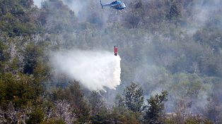 En Chubut controlan la cabeza del incendio forestal en Cholila