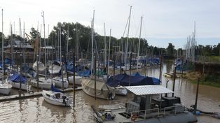 En Rosario hay 51 establecimientos donde dejar las embarcaciones: 14 guarderías de kayaks, 18 guarderías náuticas y 19 clubes náuticos.