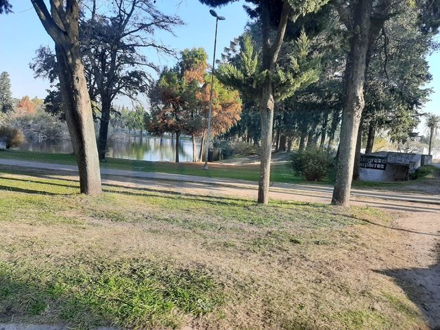 Paraná: los controles lograron reducir la circulación