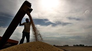 El Estado avanza en la creación de una herramienta financiera