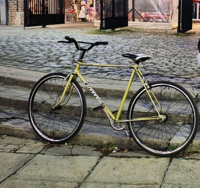 Una bicicleta robada y la conmovedora historia por la cual su dueña busca recuperarla.