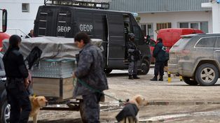 Encuentran al menos cien kilos de cocaína escondida en langostinos