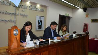 El Concejo Deliberante de Concepción del Uruguay adhirió de forma unánime a la medida que respalda el trabajo de los enfermeros.
