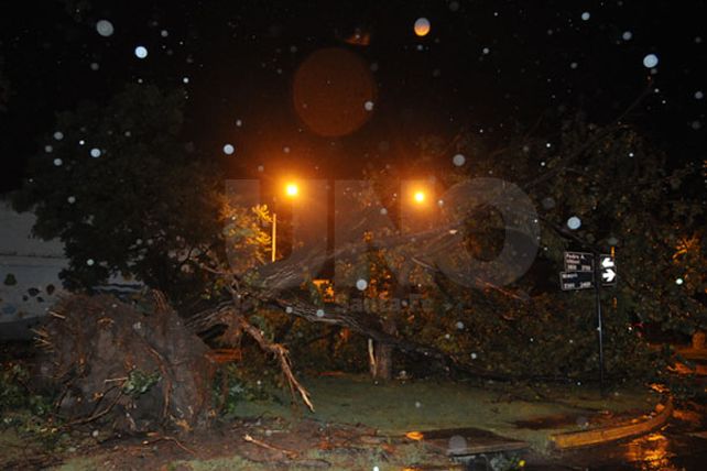 Renovaron el alerta por tormentas para el norte del territorio provincial