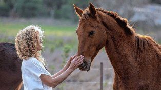 El autoconocimiento y la sanación en contacto con los caballos