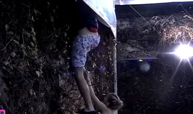 Insólita fuga de dos participantes de Gran Hermano
