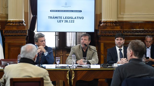 DNU: Comenzaron a debatir los cambios en Diputados