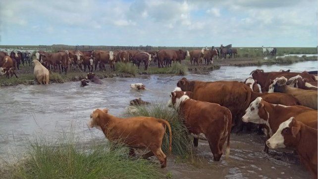 Inundaciones en Vera
