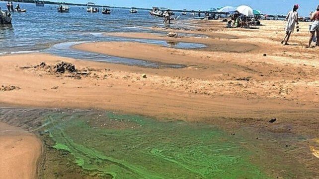 Concepción del Uruguay: detectaron nuevamente presencia de verdín en los balnearios.