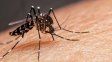 Dengue: son 14 las localidades de la provincia de Santa Fe que ya tienen circulación viral
