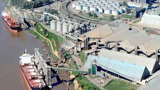El fallo por Vicentin pone en riesgo el interés por salvar a la empresa