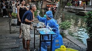 China: 35 personas contagiadas con un nuevo virus zoonótico