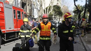 Lamberto dijo que tres perros detectaron algo en el lugar de la búsqueda