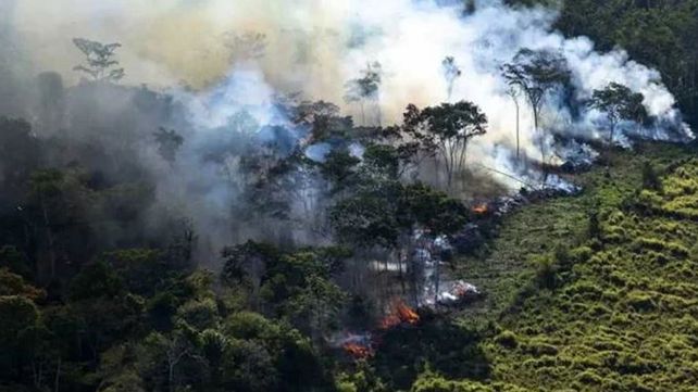 La Nasa difunde impactantes imágenes de incendios en el Amazonas
