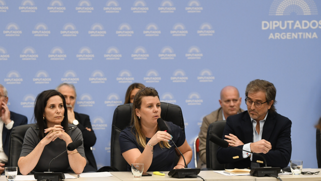 Los diputados que integran las comisiones de Deportes y Presupuesto se reunion en plenario.