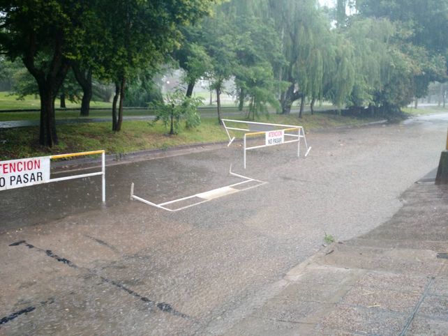 Vecinos de&nbsp;Vélez Sarsfield al 5800 advierten sobre acumulación de agua en la calzada