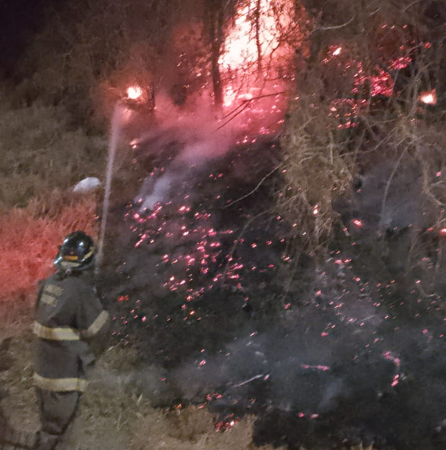 Bombero Zapador trabaja en la extinción de las llamas sobre la barranca de avenida Belgrano.