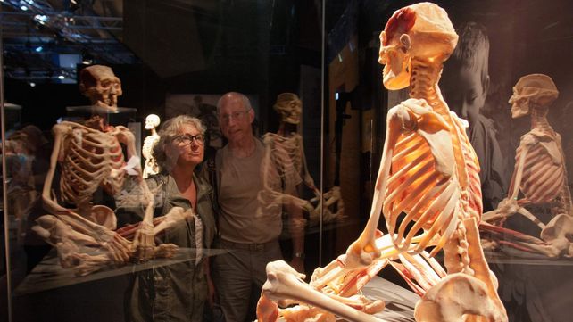 El museo de anatomía Body Worlds en Londres exhibe increíbles figuras