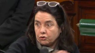 La senadora cordobesa del Frente PRO Libertad, Carmen Álvarez Rivero y una polémica frase sobre el Hospital Garrahan