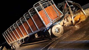Una adolescente sufrió una fractura de cráneo tras ser embestida por un toro en el puente Victoria - Rosario, cuando un camión con ganado chocó con un auto.
