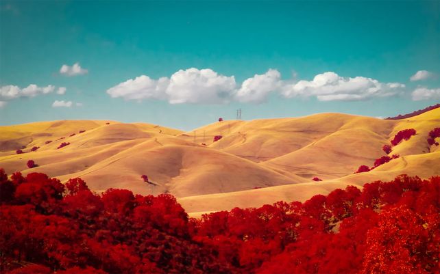 Golden Hills