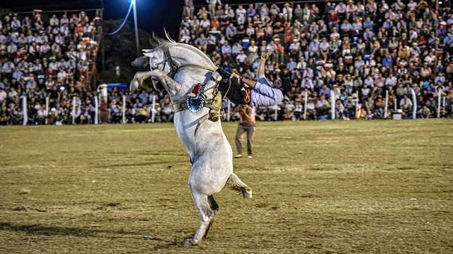 Dos asociación civiles interpusieron un recurso de amparo ante la Justicia para suspender un festival de jineteada en Oro Verde
