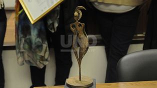 PREMIO VIRGINIA BOLTEN