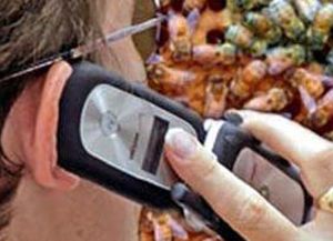 Las empresas de telefonía celular aumentaron las tarifas y ahora hablar será más caro