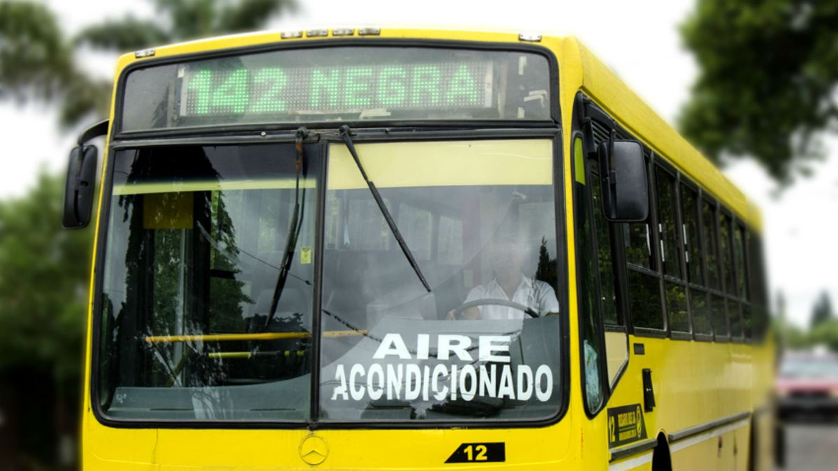 Una mujer fue acosada y manoseada en un colectivo de la línea 142