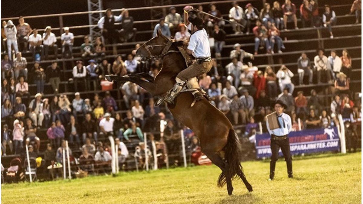 Diamante Se Prepara Para El Festival Nacional De Jineteada Y Folklore