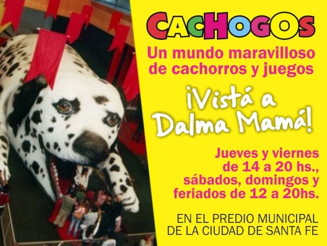 ¡Te invitamos a la exposición CACHOGOS!
