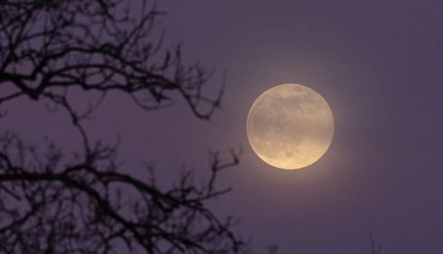 Una microluna llena se podrá apreciaren el cielo.